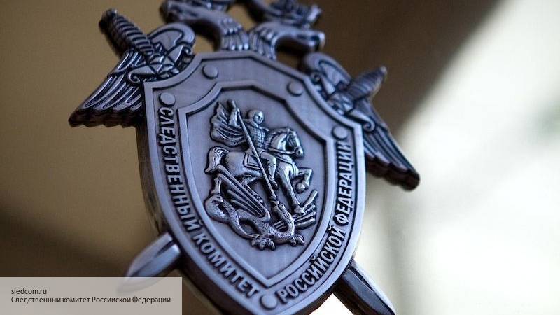 Наталья Синдеева - СК выразил благодарность «Дождю» за помощь в выявлении провокаторов на митинге в Москве - politros.com - Москва - Россия