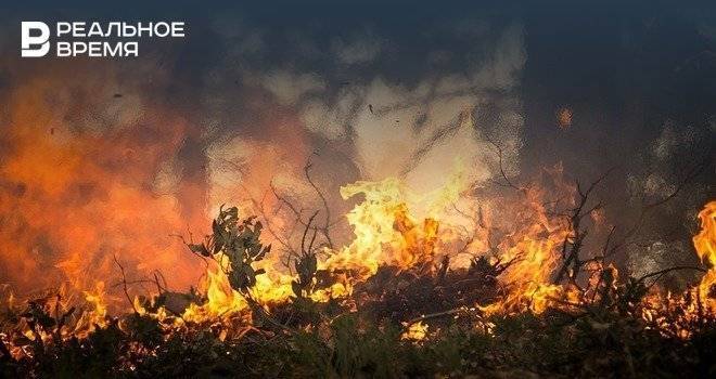 СК возбудил первое дело из-за лесных пожаров в Сибири - realnoevremya.ru - Россия - США - Красноярский край - Иркутская обл. - респ. Саха - респ.Бурятия