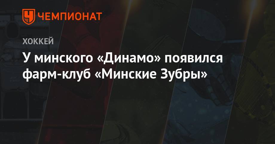 У минского «Динамо» появился фарм-клуб «Минские Зубры» - championat.com - Белоруссия - шт.Флорида