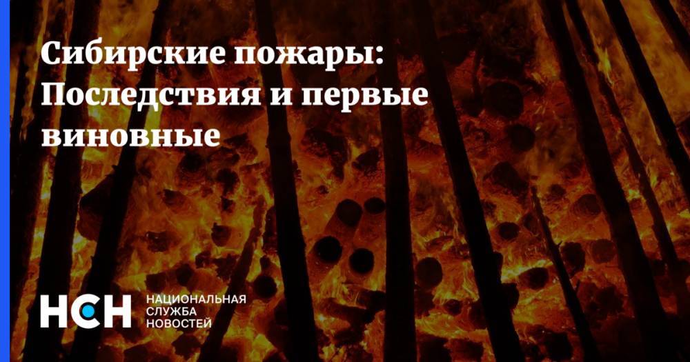 Дмитрий Медведев - Александр Усс - Сибирские пожары: Последствия и первые виновные - nsn.fm - Россия - США - Красноярский край - Бельгия - Казахстан - Канада - Монголия
