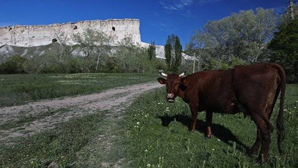 Андрей Рюмшин - В Крыму перевыполнили план по сену - crimea.ria.ru - Крым - Симферополь
