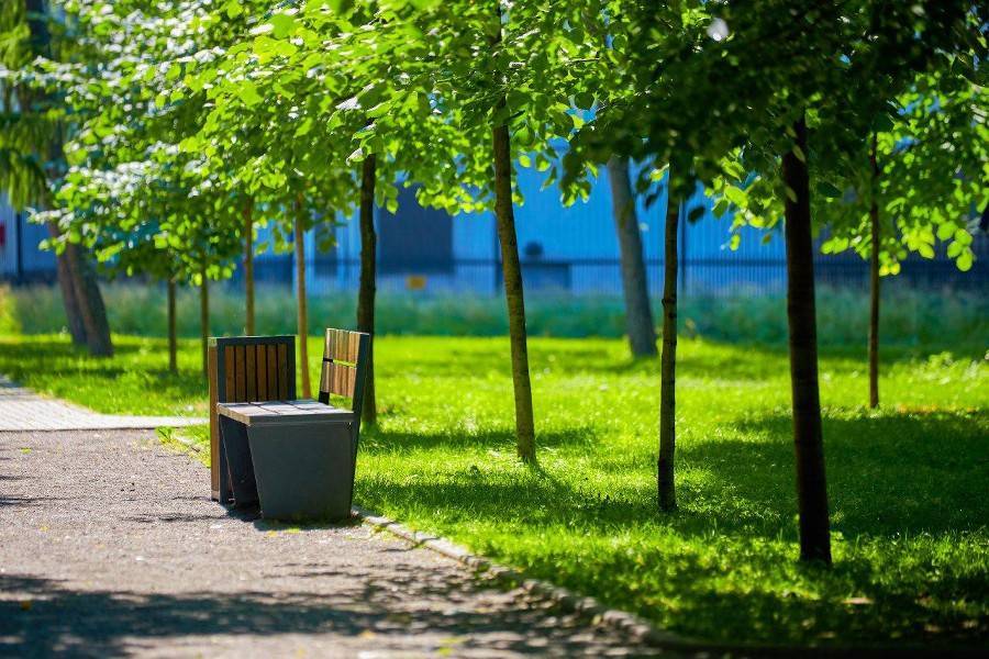 Антон Кульбачевский - Москвичи могут подавать заявки на высадку семейного дерева на 2020 год - m24.ru - Россия - Благоустройство