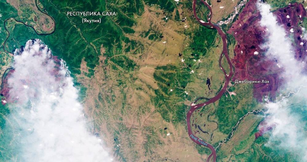 Роскосмос опубликовал спутниковые снимки очагов лесных пожаров в Сибири - m24.ru - Россия - Красноярский край - Иркутская обл. - Красноярск - Амурская обл. - Хабаровский край - респ. Дагестан - респ. Саха - респ.Бурятия - Пермский край