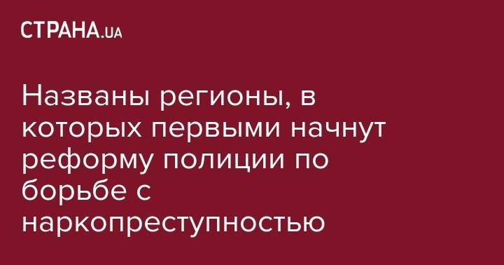 Сергей Князев - Названы регионы, в которых первыми начнут реформу полиции по борьбе с наркопреступностью - strana.ua - США - Украина - Киев - Черкасская обл. - Львовская обл. - Закарпатская обл. - Херсонская обл.