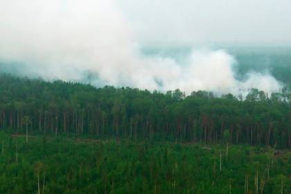 Возбуждено первое уголовное дело о пожарах в Сибири - lenta.ru - Россия - Красноярский край - Иркутская обл. - респ. Саха