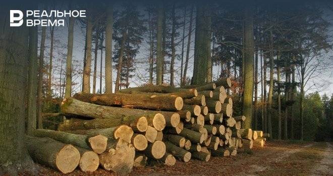 Эксперты рассказали, сколько леса Россия потеряла в 2018 году - realnoevremya.ru - Россия - Китай - США - Красноярский край - Иркутская обл. - Колумбия - Германия - Бразилия - респ. Саха - Канада - респ.Бурятия - Малайзия - Конго - Индонезия - Мадагаскар