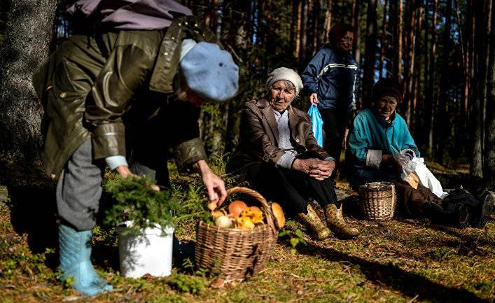 Николай Валуев - Александр Пушкин - Handelsblatt (Германия): прощай, народный спорт - inosmi.ru - Москва - Россия - Германия