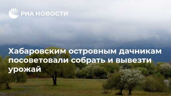 Хабаровским островным дачникам посоветовали собрать и вывезти урожай - vestirossii.com - Россия - Хабаровский край - Хабаровск