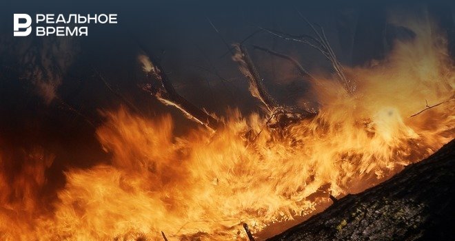 В Башкирии потушили единственный природный пожар в регионе - realnoevremya.ru - Башкирия