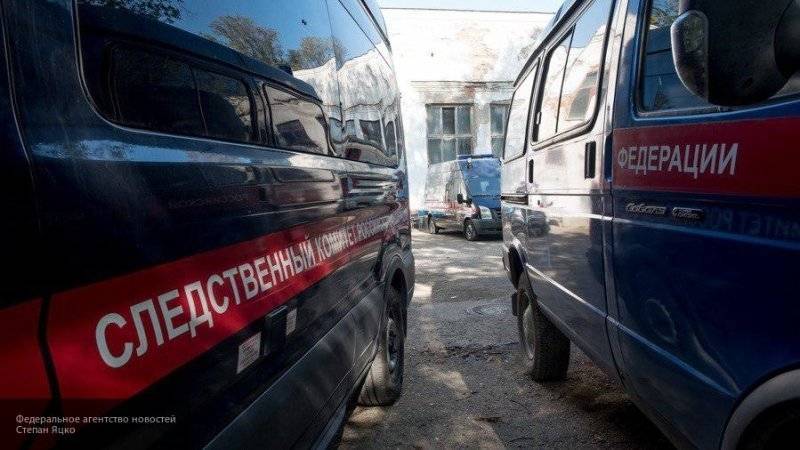 Софья Алимова - Уголовное дело возбуждено по факту нападения на сотрудников полиции в Сургуте - nation-news.ru - Московская обл. - Сургут