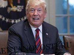 Дональд Трамп - Трамп пригрозил выпустить тысячи боевиков ИГ в Европу - lentanovosti.ru - Россия - США - Сирия - Вашингтон - Англия - Германия - Франция - Ирак