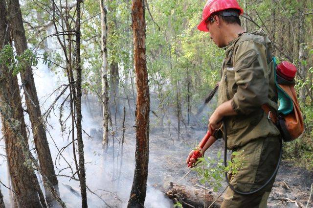 Лесные пожары в Якутии распространились на площади более 1 млн гектаров - aif.ru - Россия - респ. Саха - Чита - Мирный