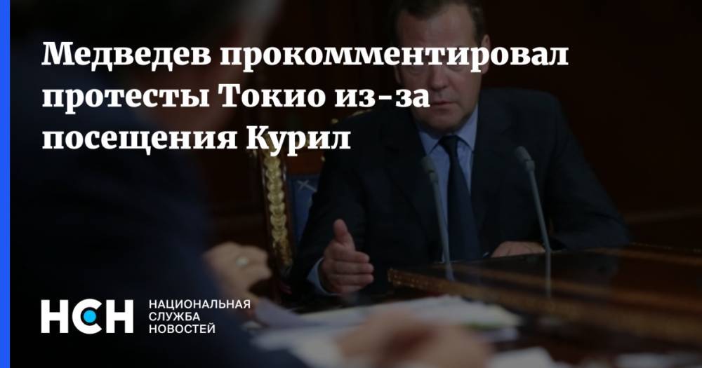 Дмитрий Медведев - Медведев прокомментировал протесты Токио из-за посещения Курил - nsn.fm - Россия - Токио - Япония - Сахалинская обл.
