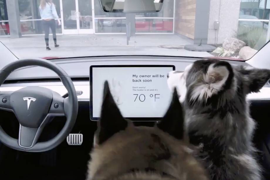Илона Маску - Dog Mode в электрокарах Tesla сломан - fainaidea.com