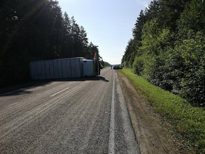 В Курганской области на трассе из-за жителя ХМАО перевернулся большегруз - znak.com - Курганская обл. - Югра - Шадринск