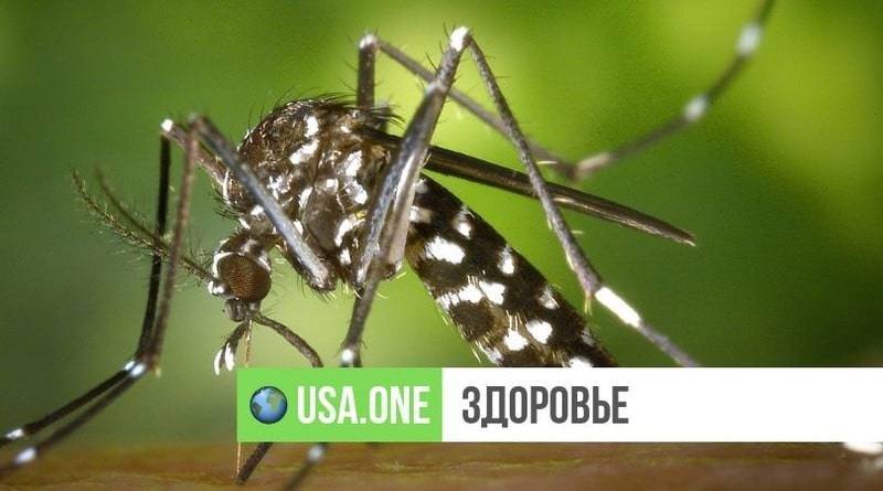 Американка умерла от чрезвычайно редкого вируса, который передается с укусом комара - usa.one - шт. Массачусетс