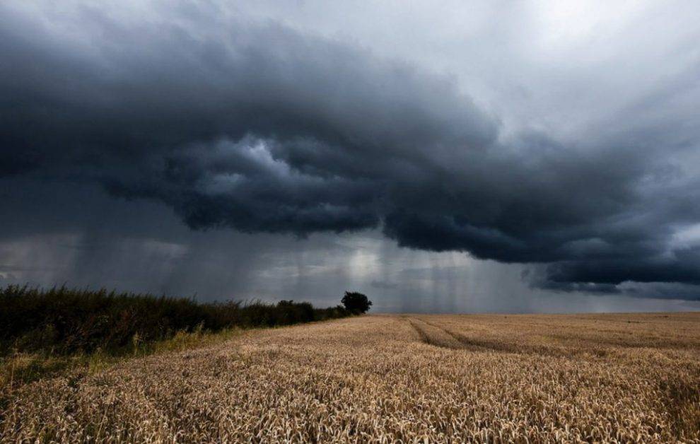Около 200 сельхозпредприятий Удмуртии из 21 района пострадали от дождей - gorodglazov.com - респ. Удмуртия