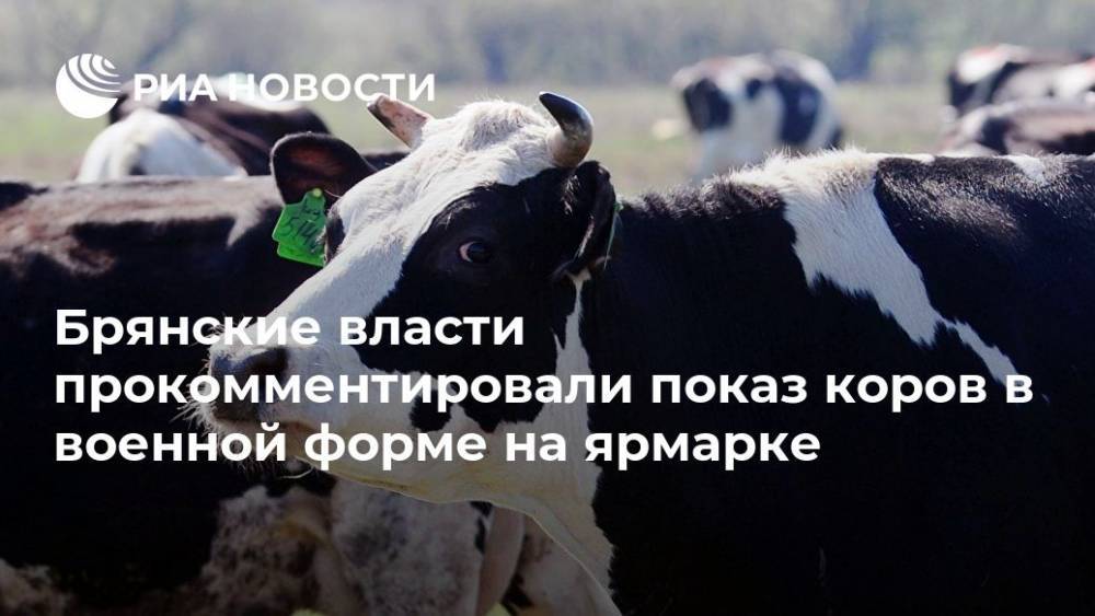 Брянские власти прокомментировали показ коров в военной форме на ярмарке - ria.ru - Брянск - Брянская обл.