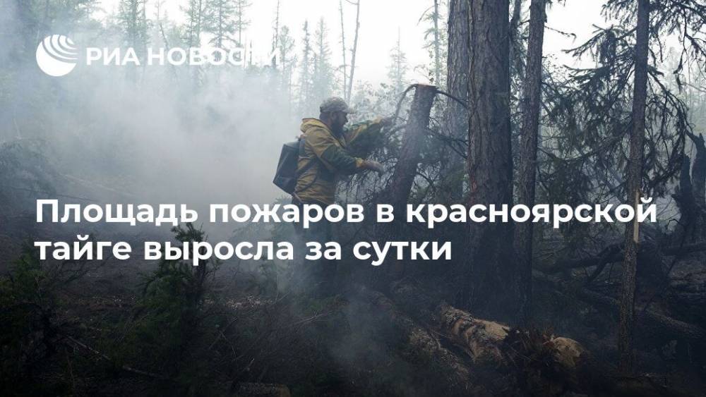 Площадь пожаров в красноярской тайге выросла за сутки - ria.ru - Красноярский край - Красноярск