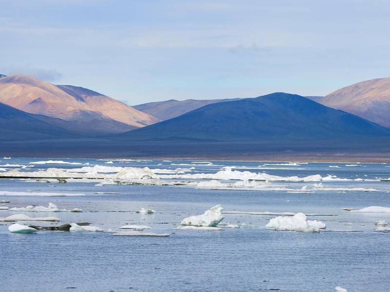 Учёные подтвердили открытие новых островов в Арктике - news.ru - Острова
