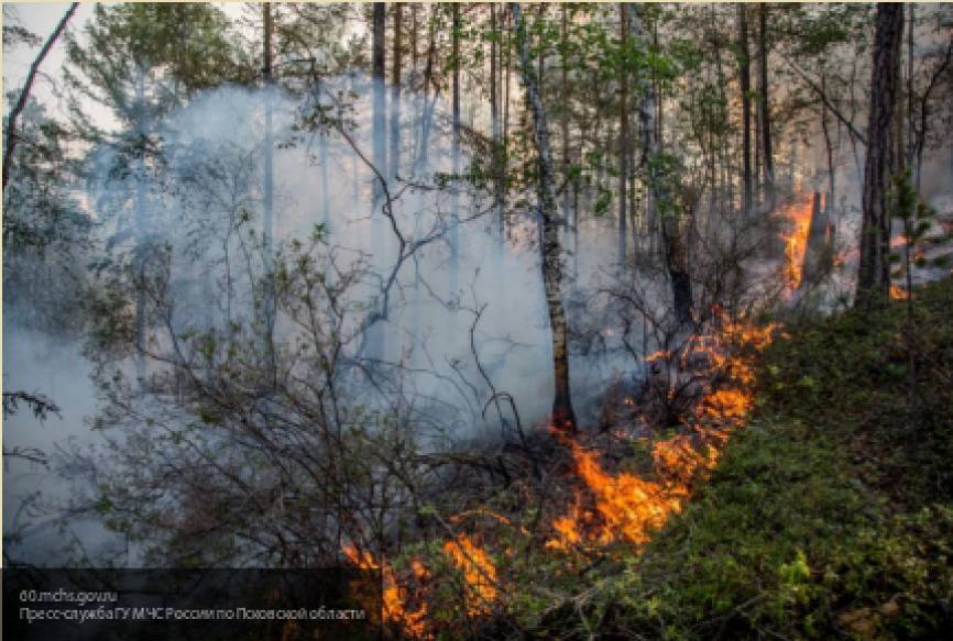 Спасатели за сутки ликвидировали семь лесных пожаров в Якутии - newinform.com - респ. Саха - Верхоянск