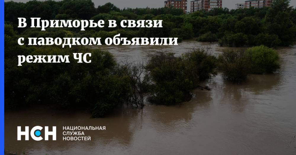 Олег Кожемяко - Олег Гуменюк - В Приморье в связи с паводком объявили режим ЧС - nsn.fm - Приморье край - Владивосток