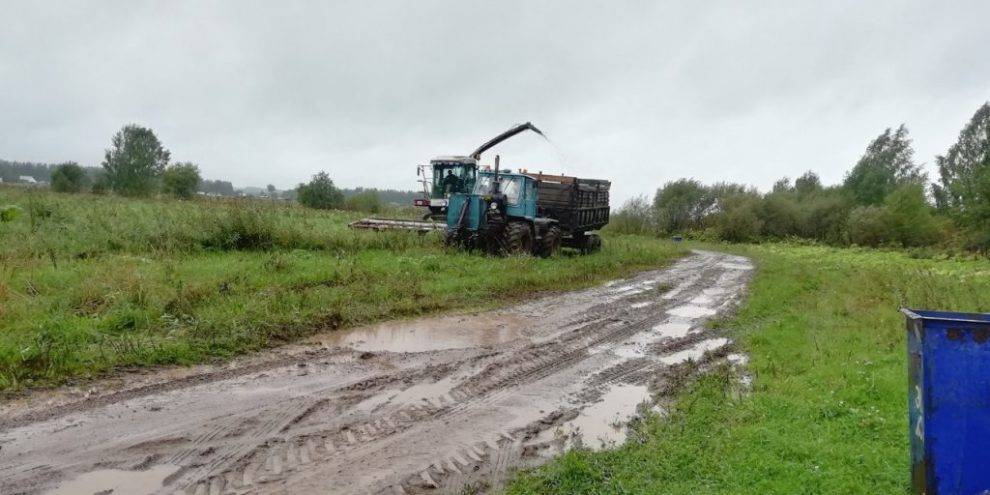 В Глазовском районе признаны пострадавшими 10 сельхозпредприятий и КФХ - gorodglazov.com - Россия