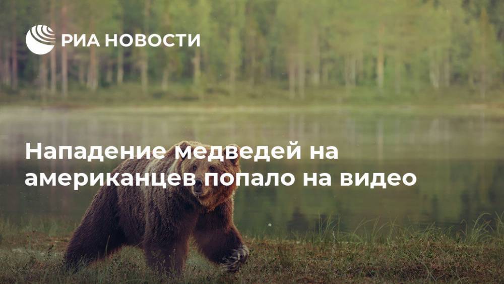 Джон Джонсон - Нападение медведей на американцев попало на видео - ria.ru - Москва - США - шт. Колорадо