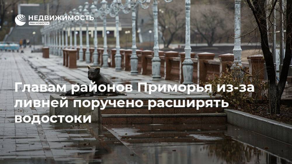 Олег Кожемяко - Главам районов Приморья из-за ливней поручено расширять водостоки - realty.ria.ru - Приморье край - Владивосток