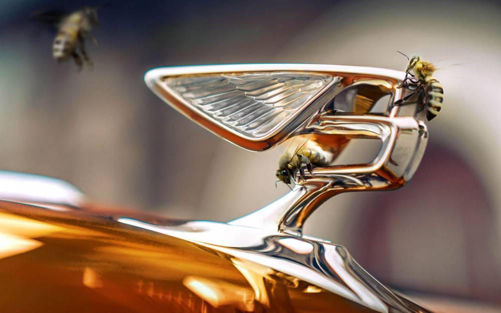 Bentley занялась производством меда&nbsp;— журнал За&nbsp;рулем - zr.ru