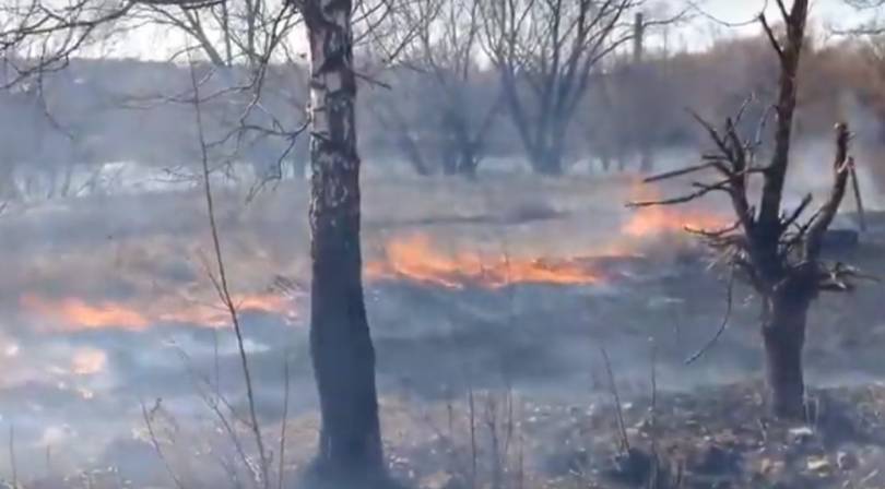 Александр Ковалев - В Госдуме обсудят ответственность за лесные пожары - gorobzor.ru