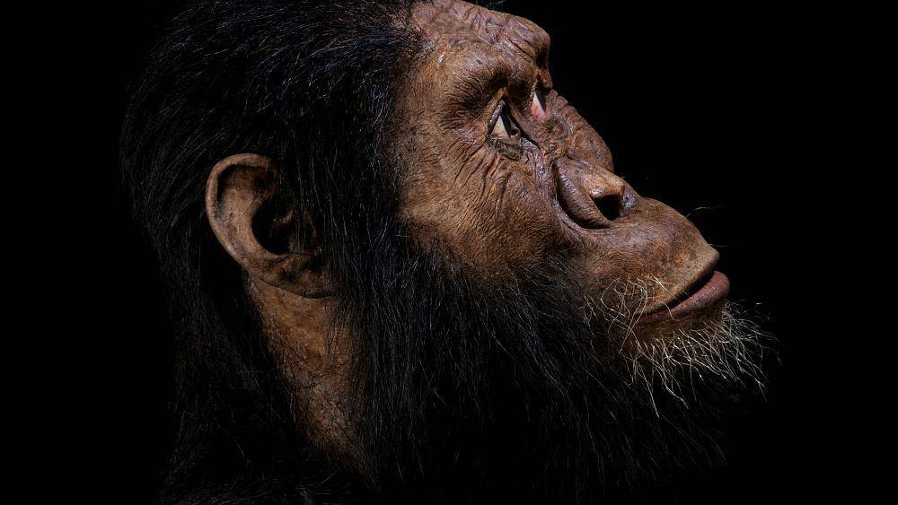 В Эфиопии нашли самого раннего предка человека - ru.euronews.com - Эфиопия