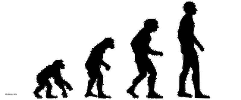 Чарльз Дарвин - Ученые заявили об ошибочности эволюционной теории Дарвина - politros.com