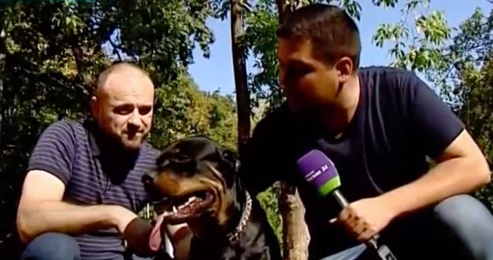 В Фили-Давыдкове пьяная компания избила собаку-поводыря и ее хозяйку - m24.ru - Москва - район Фили-Давыдково
