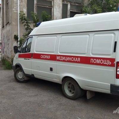 Собака напала на 8-месячного ребенка в квартире в Москве - radiomayak.ru - Москва - Юлия Иванова