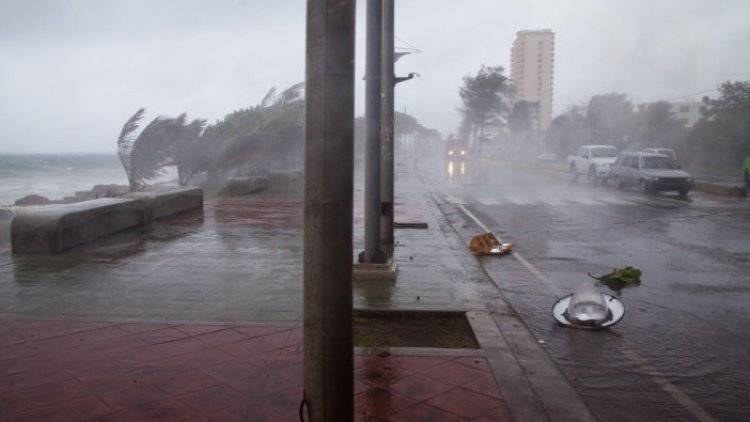 Дональд Трамп - Трамп - Трамп одобрил введение ЧС во Флориде из-за урагана «Дориан» - polit.info - США - шт.Флорида - Виргинские Острова