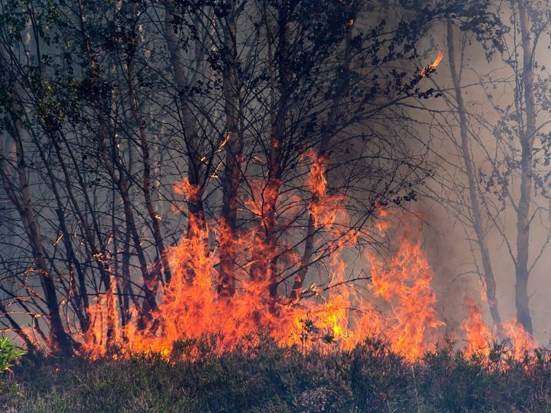 Искусственные дожди вызовут в Иркутской области для борьбы с пожарами - news.ru - Иркутская обл.