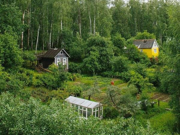 Более половины россиян заявили о летних поездках на дачу - polit.ru