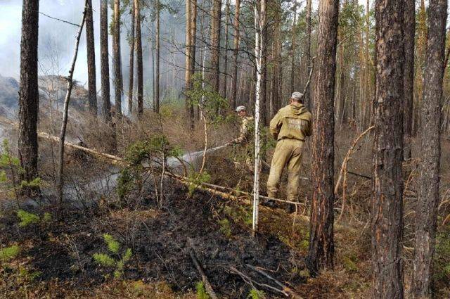 В Красноярском крае пожарный пропал во время тушения огня в лесу - aif.ru - Красноярский край - район Эвенкийский