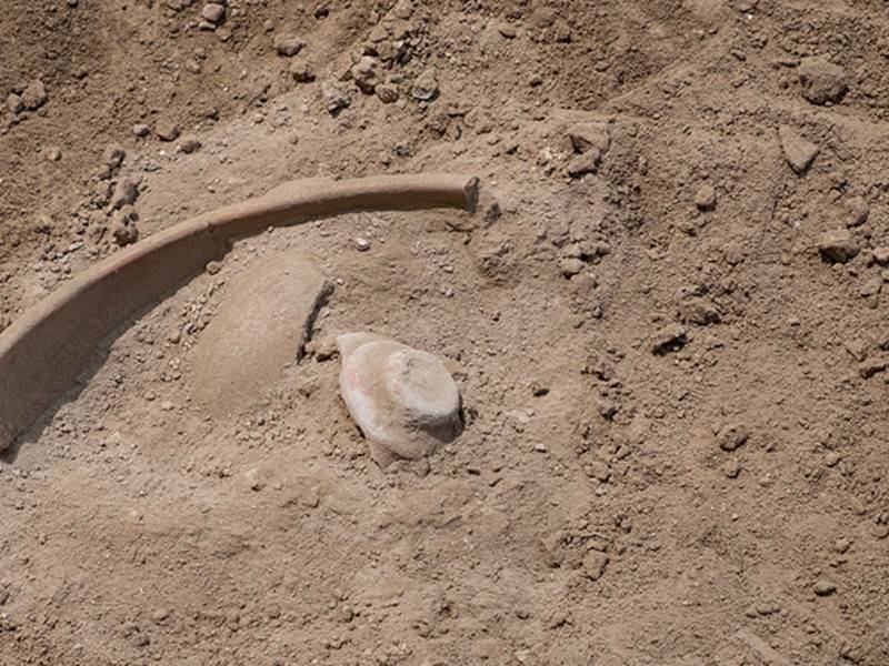 Тысячи артефактов нашли в древнем могильнике под Красноярском - news.ru