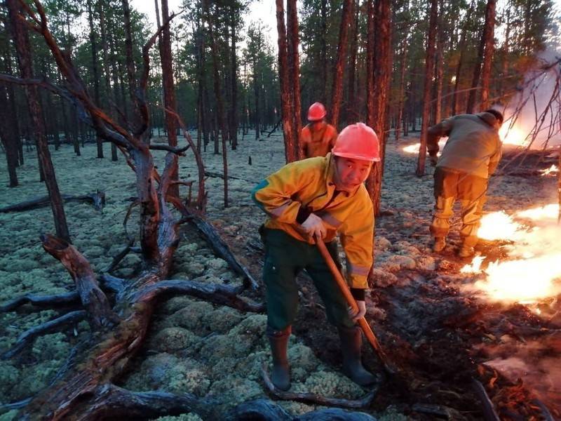 Госпожнадзор возбудил 277 уголовных дел из-за лесных пожаров - news.ru - Россия