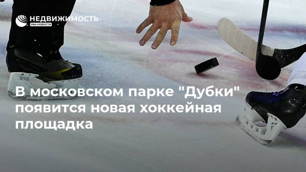 В московском парке "Дубки" появится новая хоккейная площадка - realty.ria.ru - Москва - Москва - Благоустройство