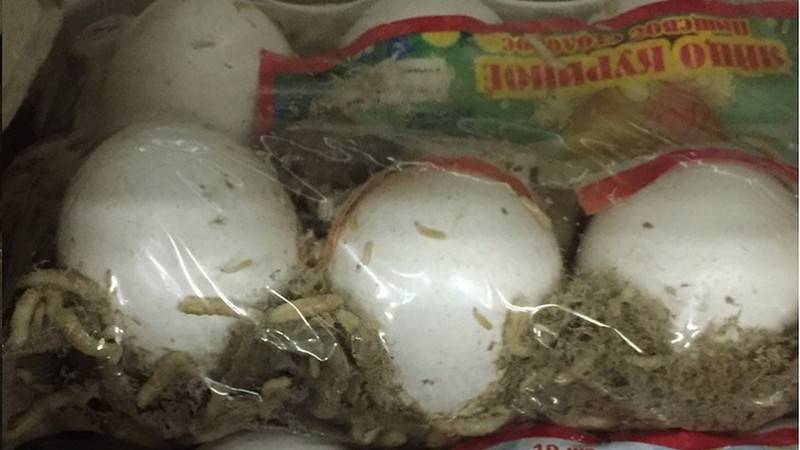 Жители Башкирии нашли опарышей в упаковке с яйцами - bash.news - Башкирия