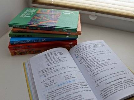 Айбулат Хажин - В Уфе в сентябре запустят сразу две особенные школы с обучением на разных языках - ufatime.ru - Уфа