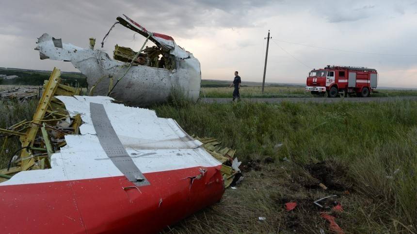 Йозеф Реш - Что известно о расследовании крушения MH17 над Донбассом - 5-tv.ru - Германия