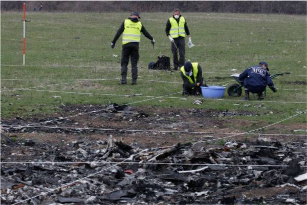 Йозеф Реш - Немецкий детектив предложил предать России материалы по делу MH17 - trud.ru - Россия - Германия - Малайзия