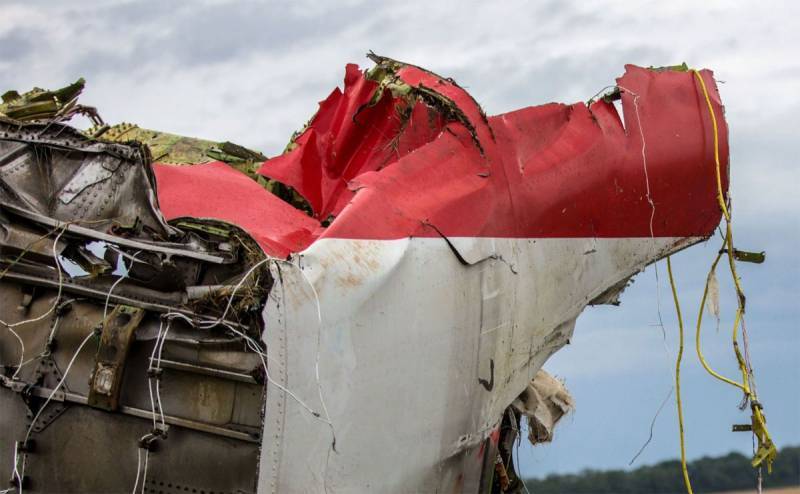 Йозеф Реш - Частный детектив из Германии заявил о наличии спутниковых снимков США по MH17 - topwar.ru - Россия - Украина - Малайзия