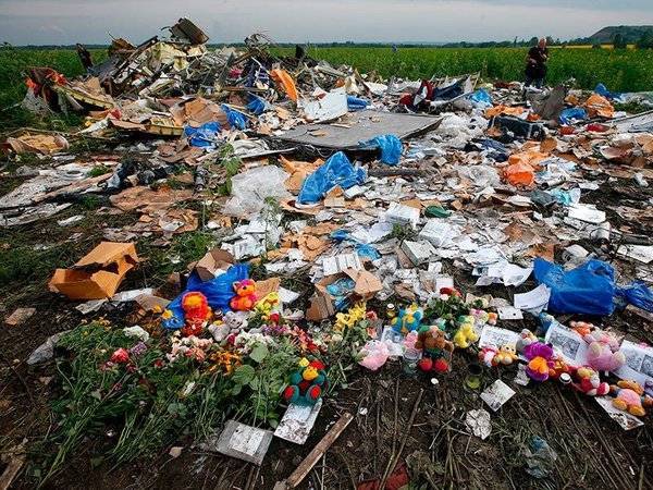 Йозеф Реш - Малайзия - Немецкий сыщик пригрозил назвать виновников крушения рейса MH17 - polit.ru - Германия - Голландия