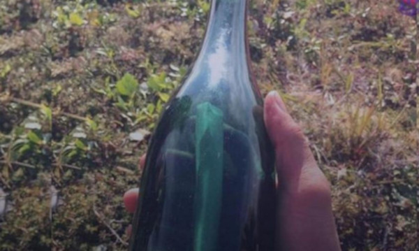 На Аляске нашли бутылку с посланием времен СССР - glavtema.ru - США - шт.Аляска