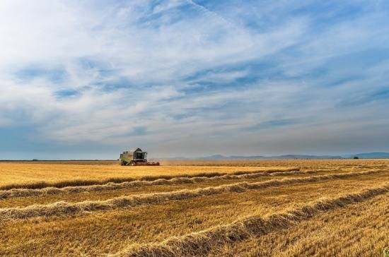 Андрей Коробка - В Краснодарском крае собрали более 11 млн тонн зерна - pnp.ru - Краснодарский край